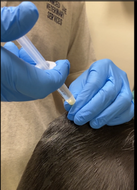 Screenshot 2025-09-04 102141.png