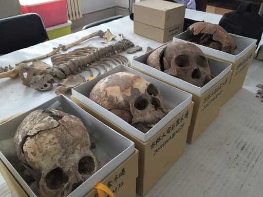 Skull screening for headbinding June 2018.JPG